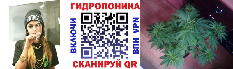 где купить   Певек  Каннабис конопля 